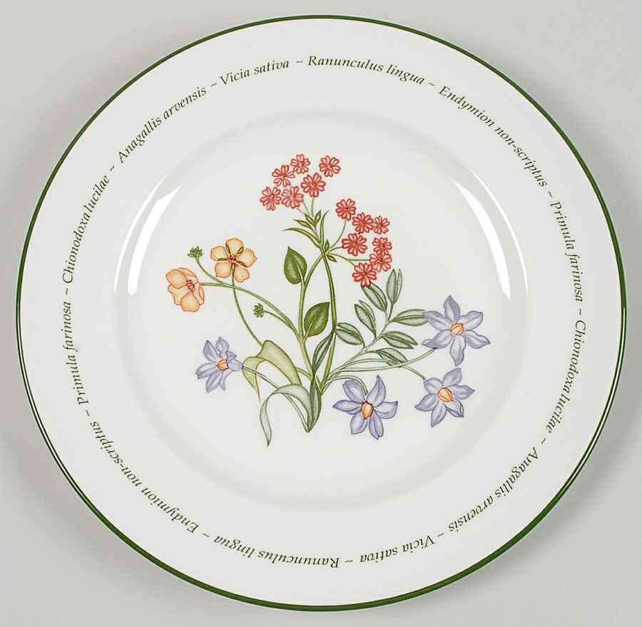 Wild Flowers Salad Plate by Johnson Brothers-1