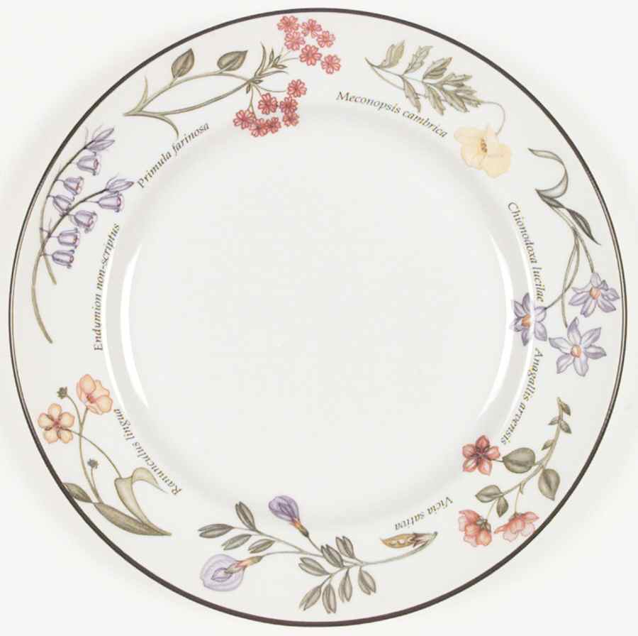 Wild Flowers Dinner Plate by Johnson Brothers-1