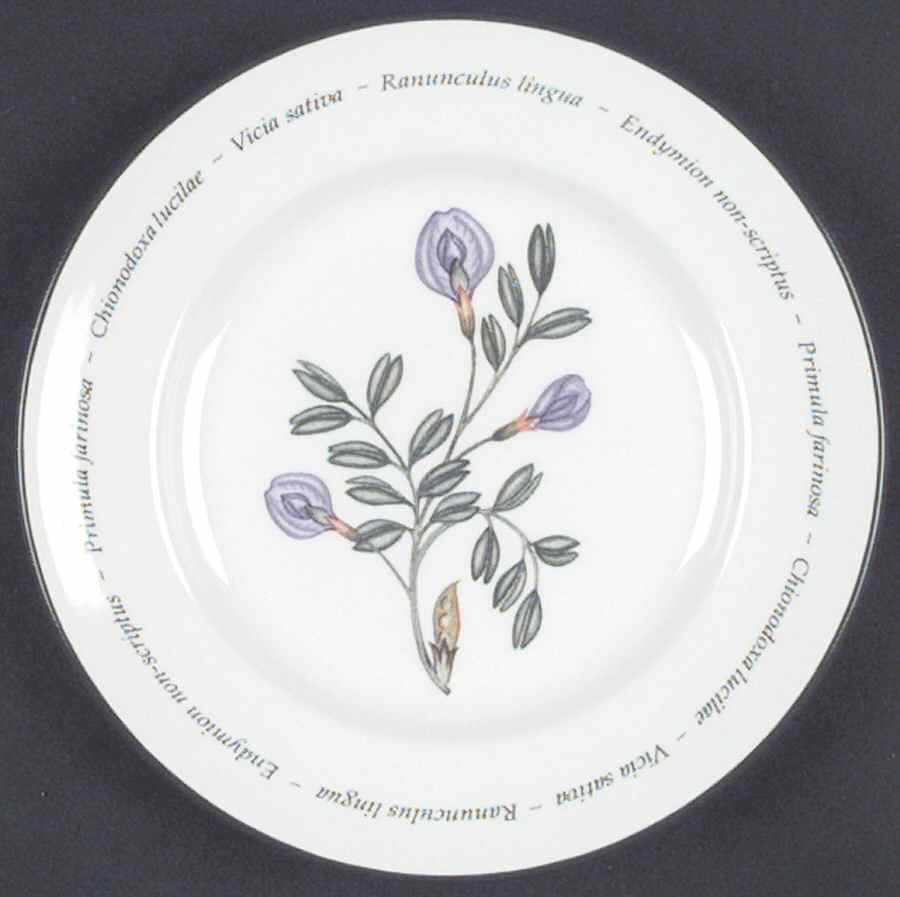 Wild Flowers Bread & Butter Plate by Johnson Brothers-1