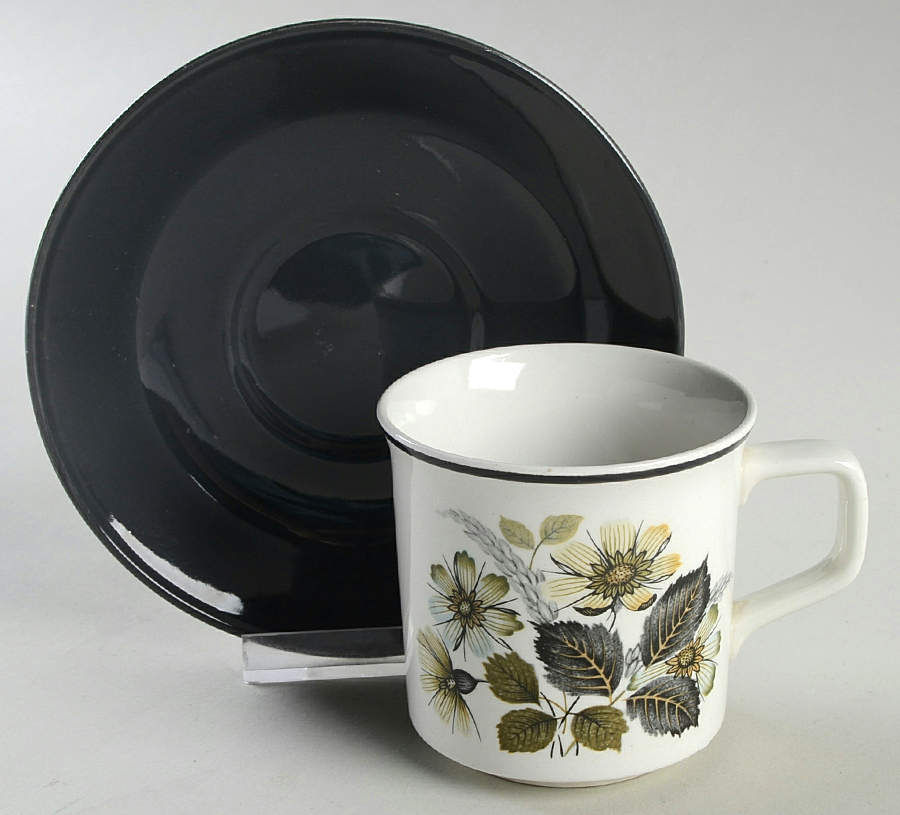 Wildmoor Flat Cup & Saucer Set by Johnson Brothers-1
