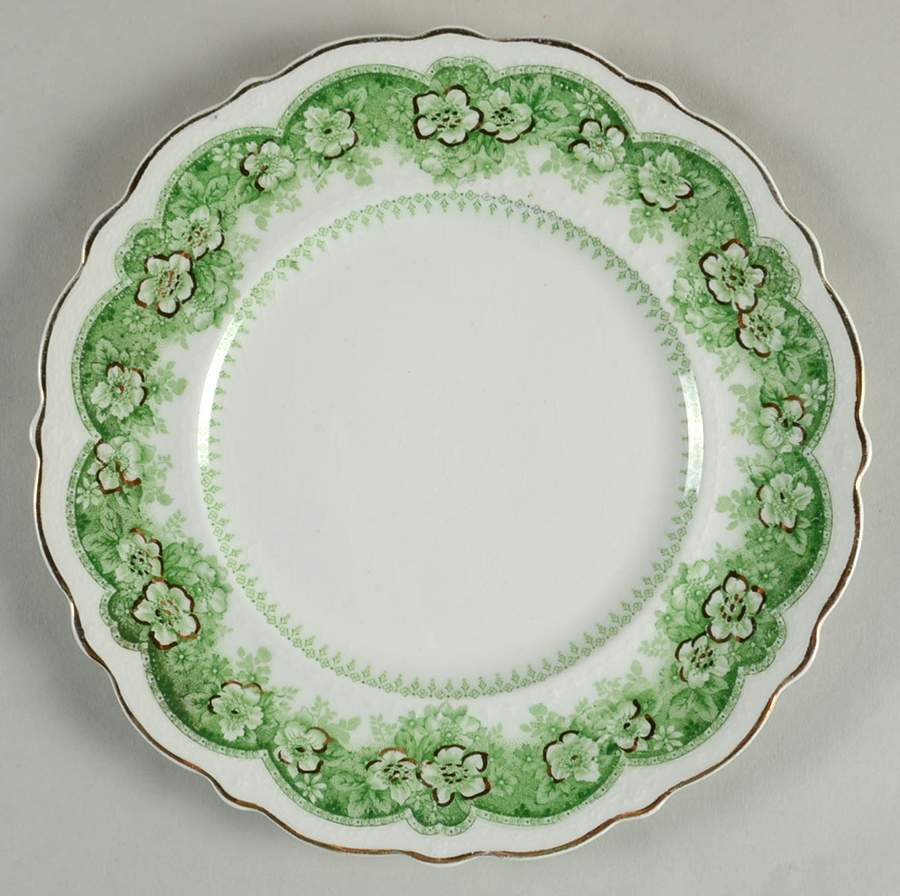 Wild Rose Green Salad Plate by Johnson Brothers-1