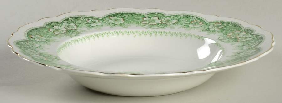 Wild Rose Green Rim Soup Bowl by Johnson Brothers-1