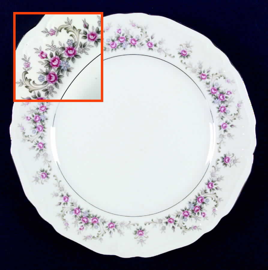 Marianna Dinner Plate by JCPenney-1