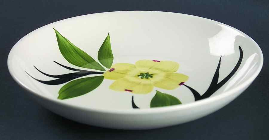 Dixie Dogwood Coupe Soup Bowl by Joni China-1