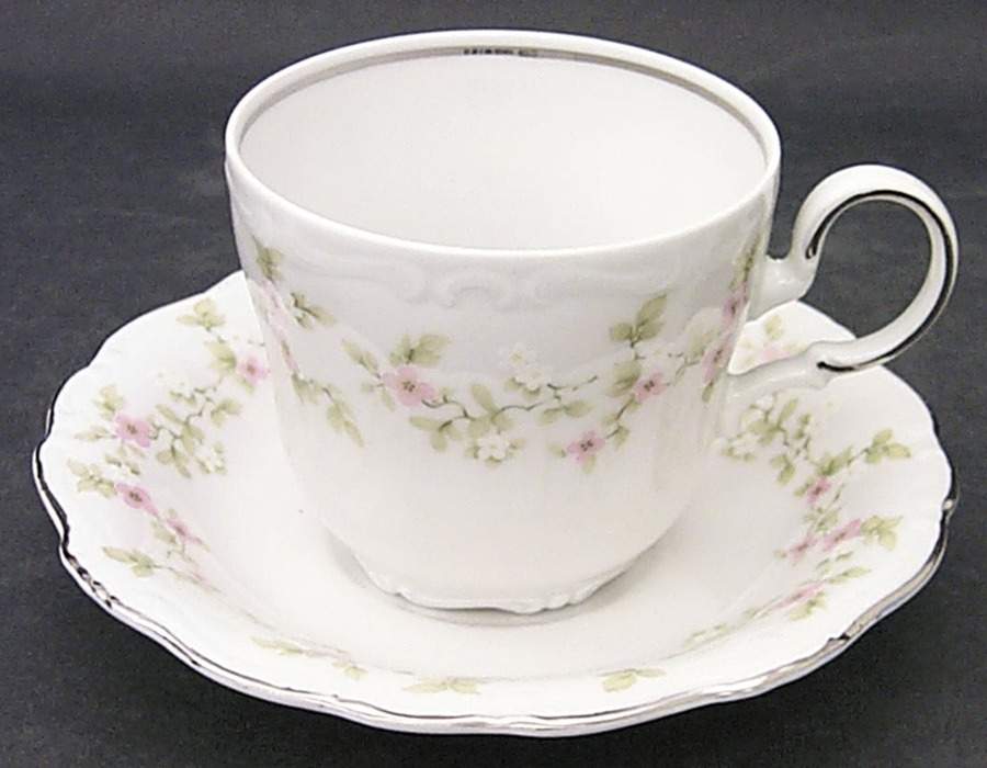 April Blossom Flat Cup & Saucer Set by Johann Haviland-1