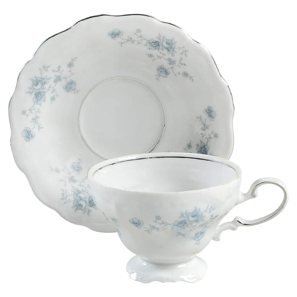 Blue Garland (Bavaria Backstamp) Footed Cup & Saucer Set by Johann Haviland-1