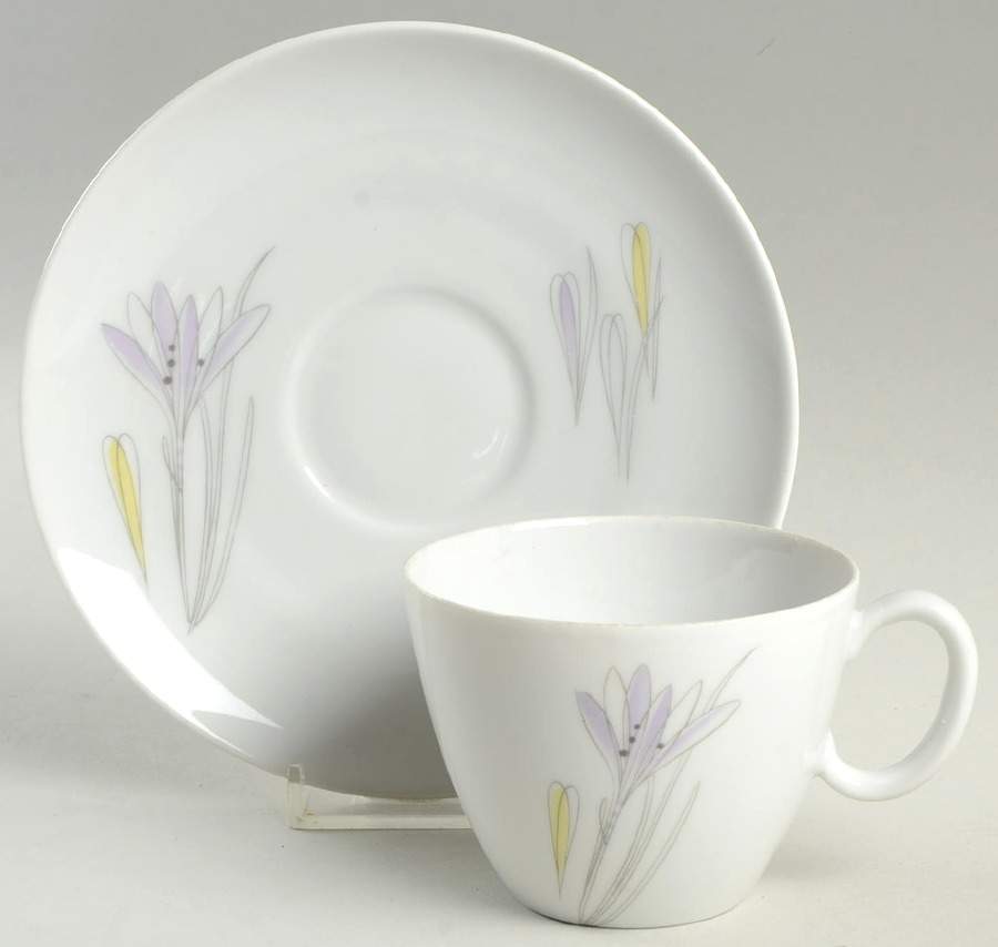 Crocus Flat Cup & Saucer Set by Johann Haviland-1