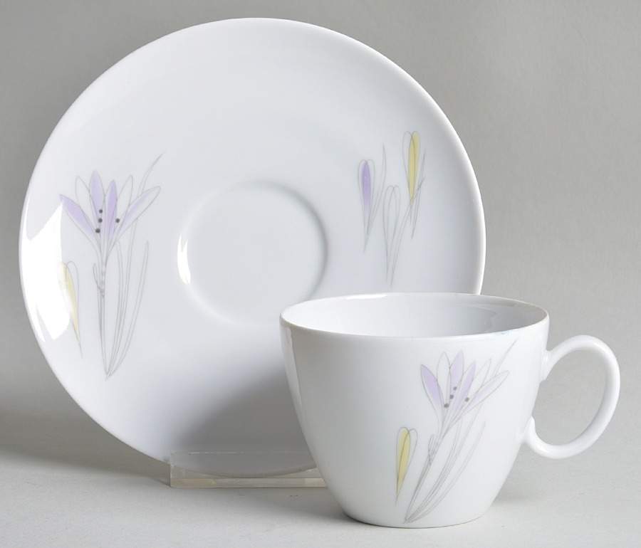 Crocus Flat Cup & Saucer Set by Johann Haviland-1