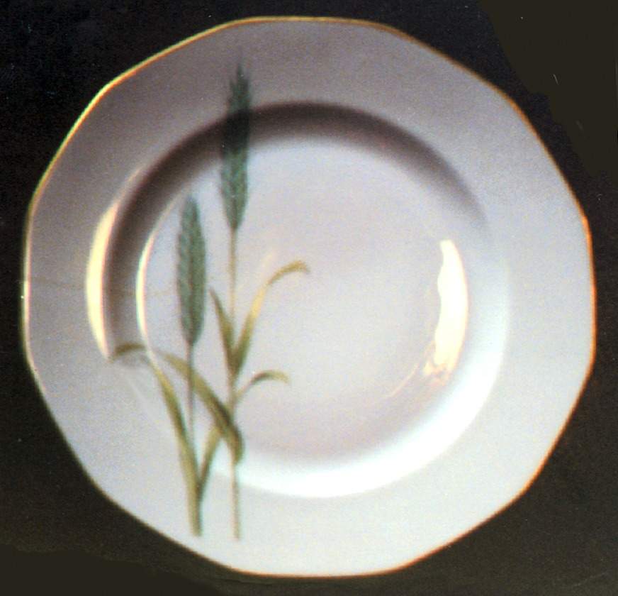 Harvest Dinner Plate by Johann Haviland-1