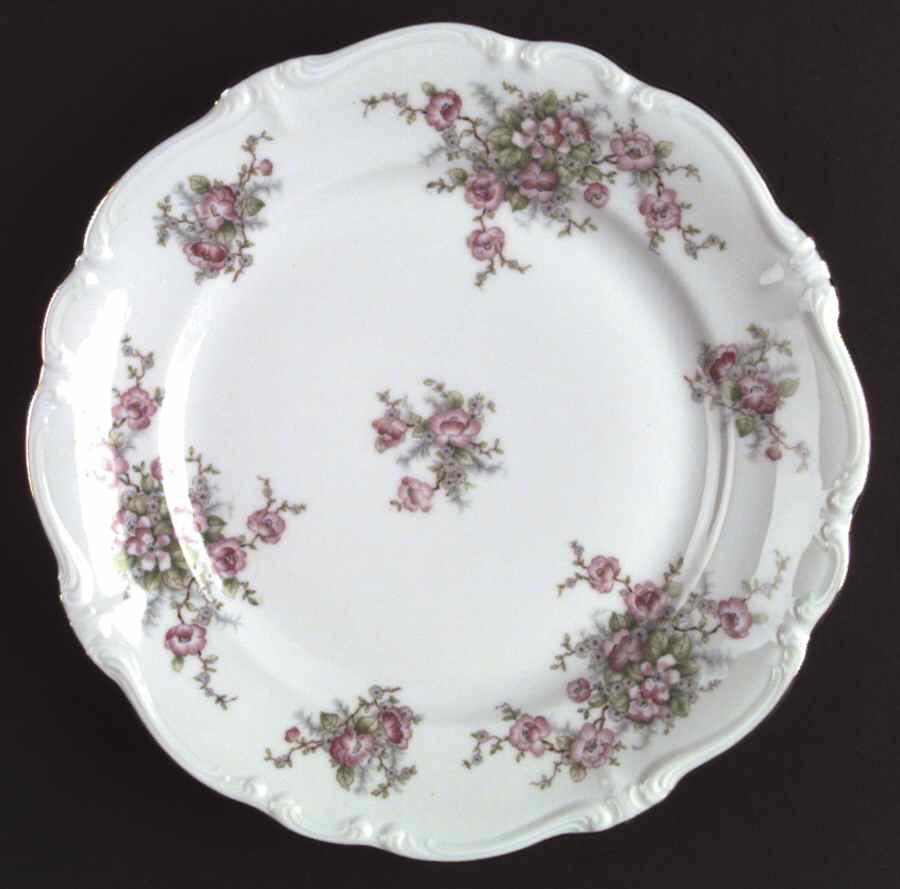 JOH1 Dinner Plate by Johann Haviland-1