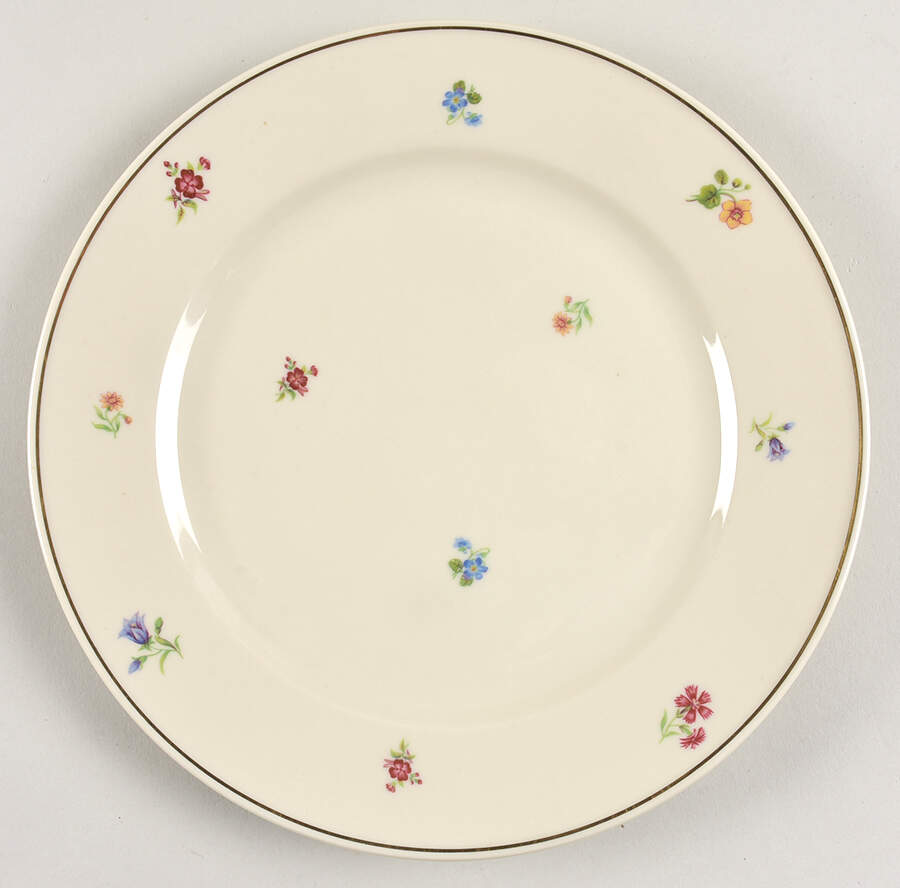 JOH103 Dinner Plate by Johann Haviland-1
