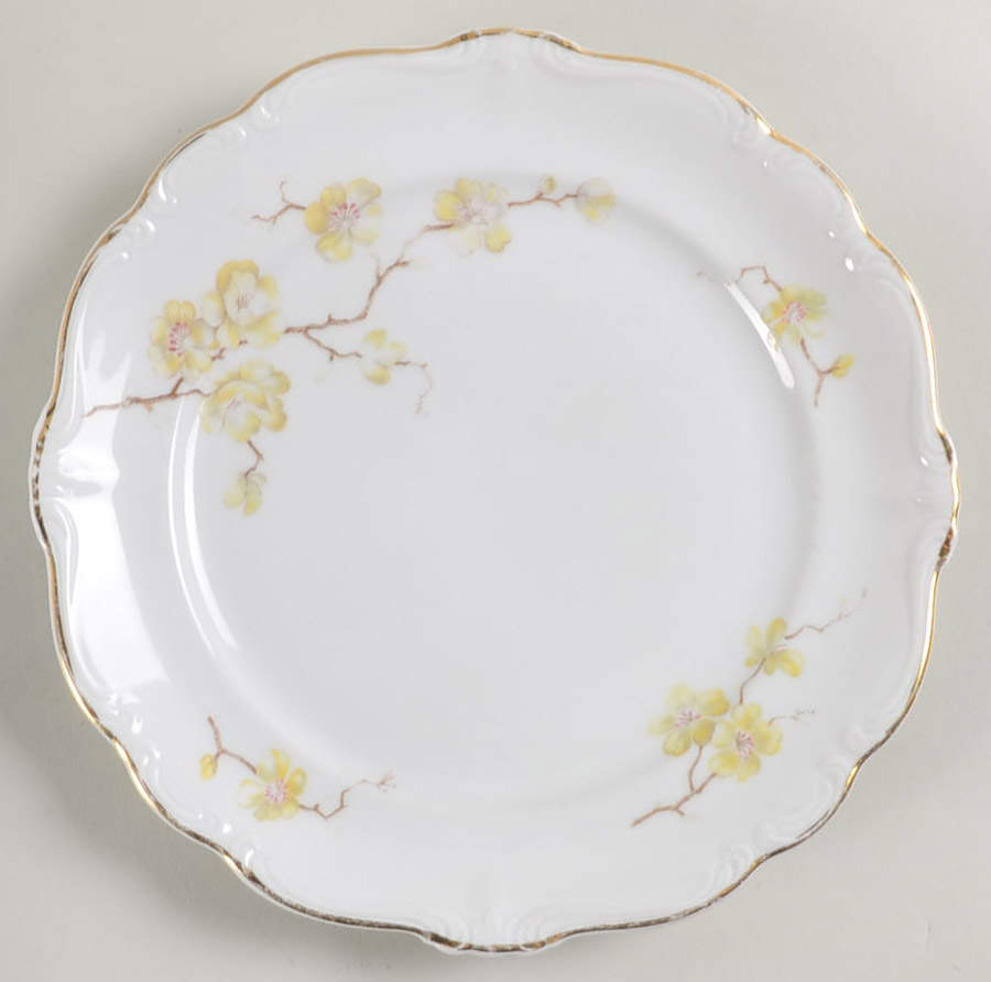 JOH104 Salad Plate by Johann Haviland-1