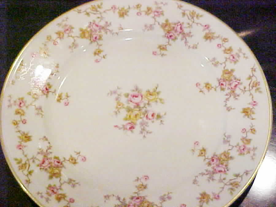 02056 Dinner Plate by Johann Haviland-1