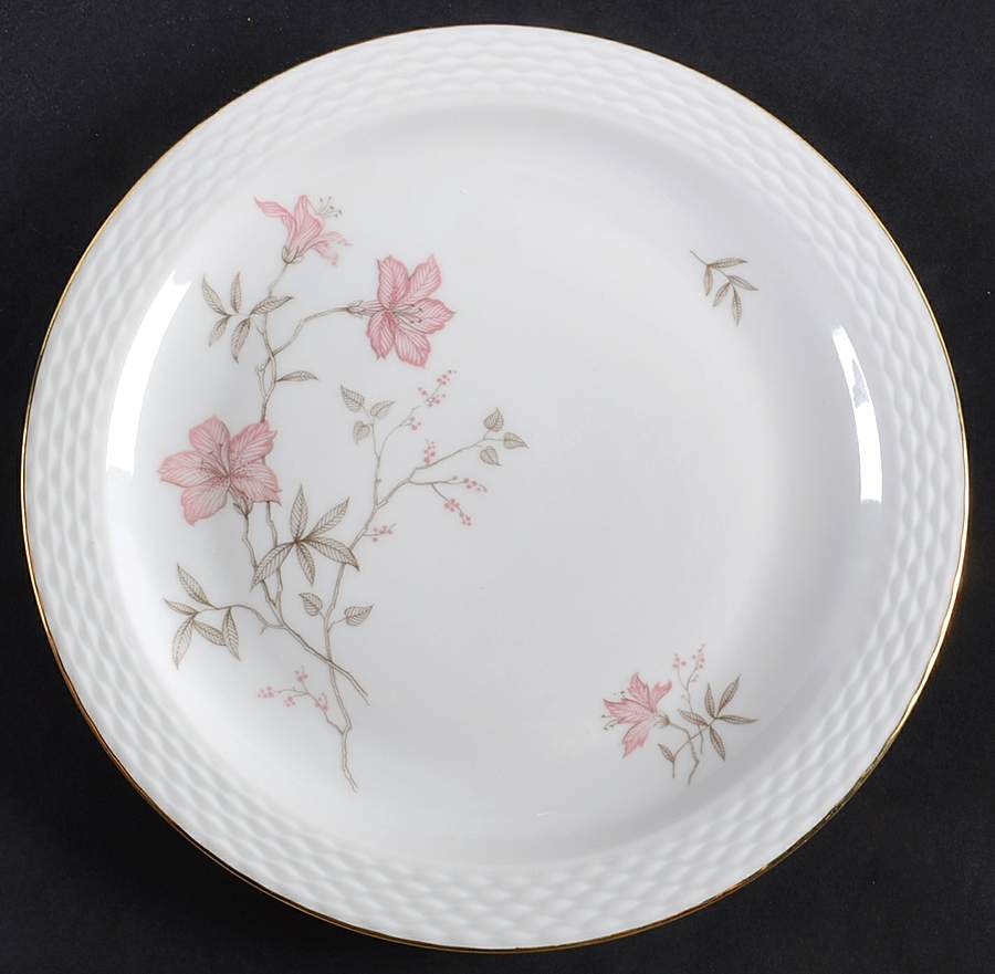 Rosita Salad Plate by Johann Haviland-1