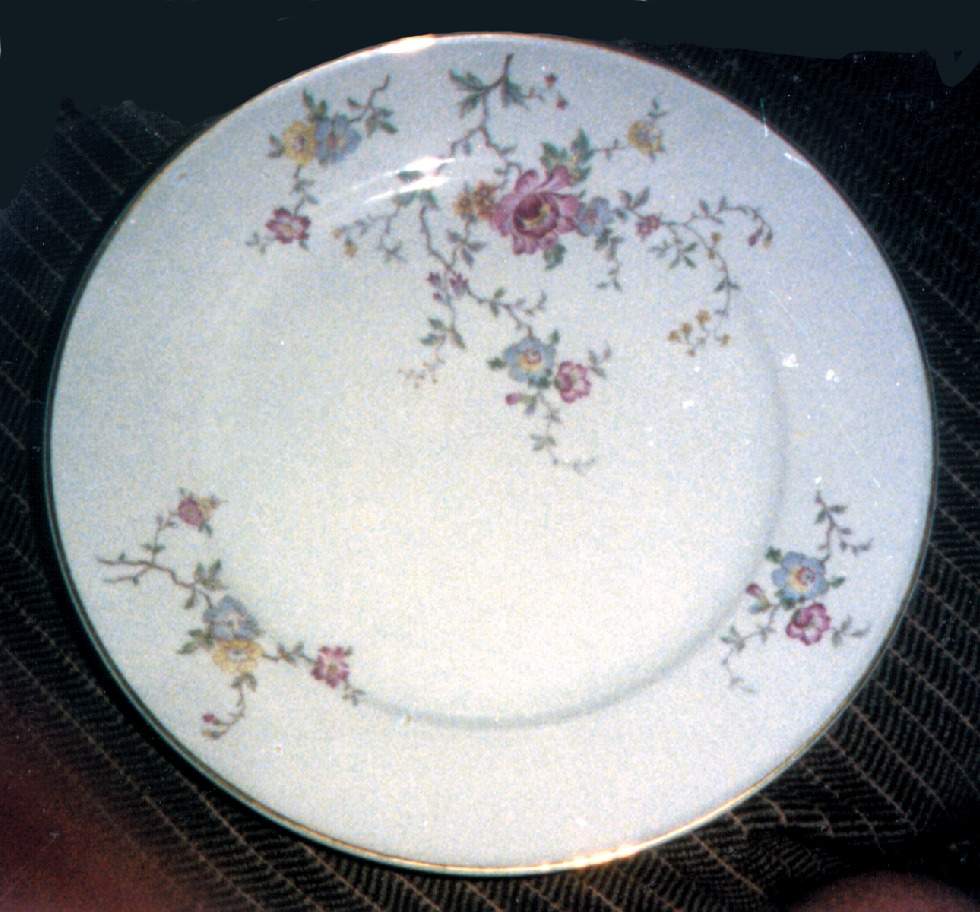 E672 Dinner Plate by Johann Haviland-1