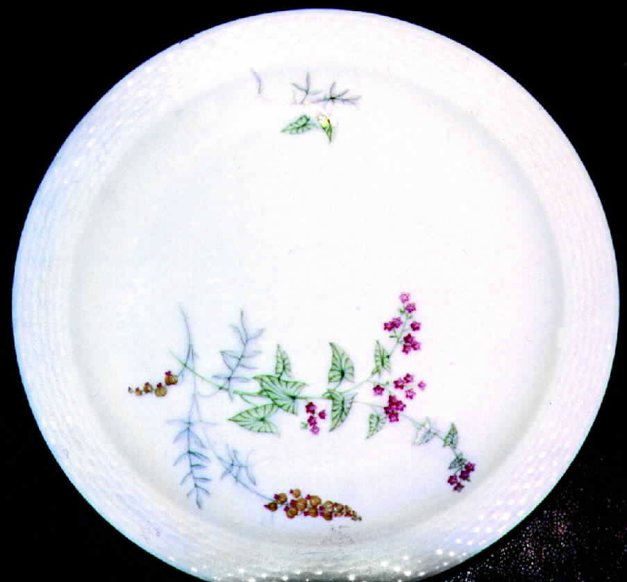 JOH123 Dinner Plate by Johann Haviland-1