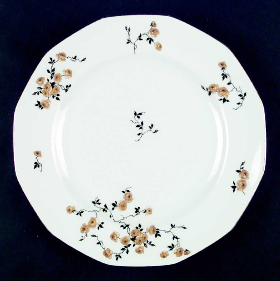 The Natrona Dinner Plate by Johann Haviland-1