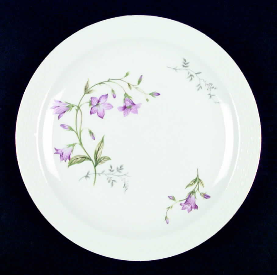 W882 Dinner Plate by Johann Haviland-1