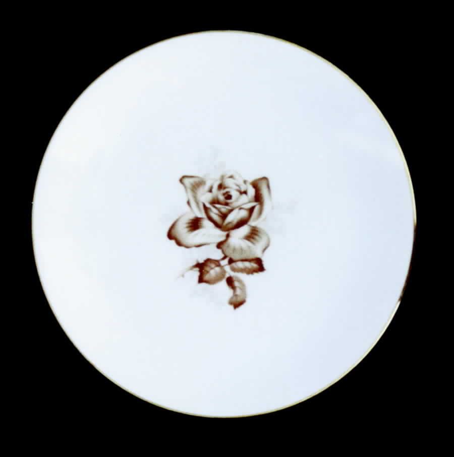 JOH145 Dinner Plate by Johann Haviland-1