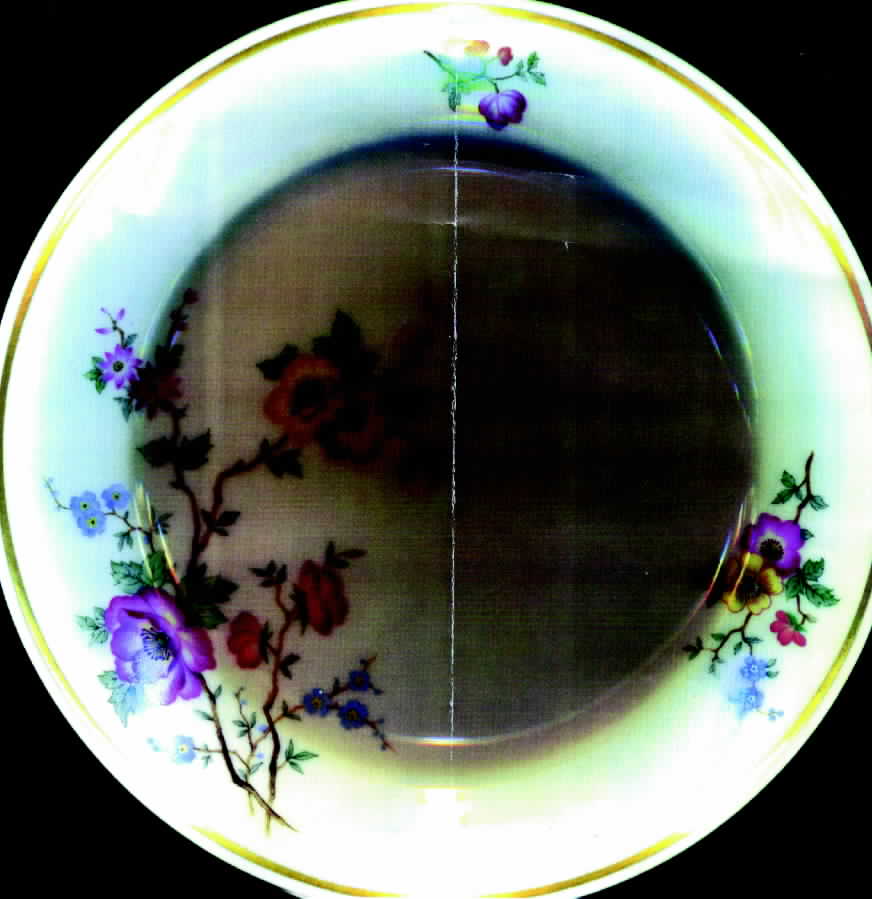 JOH155 Dinner Plate by Johann Haviland-1