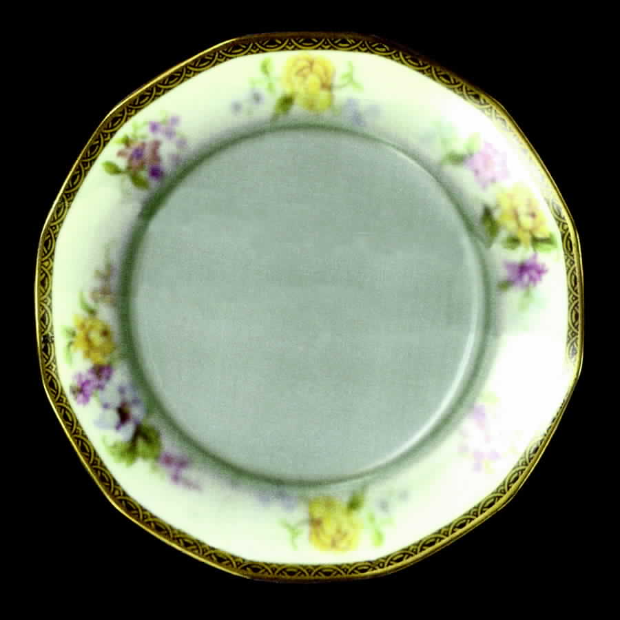 JOH173 Dinner Plate by Johann Haviland-1
