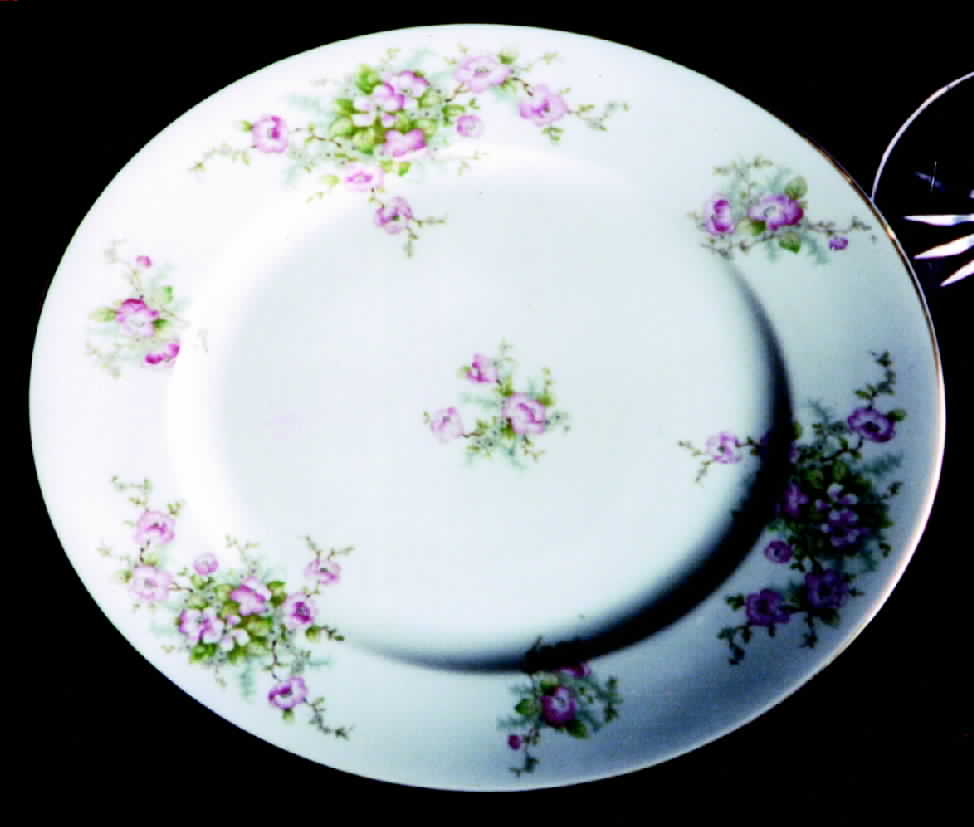 E629 Dinner Plate by Johann Haviland-1