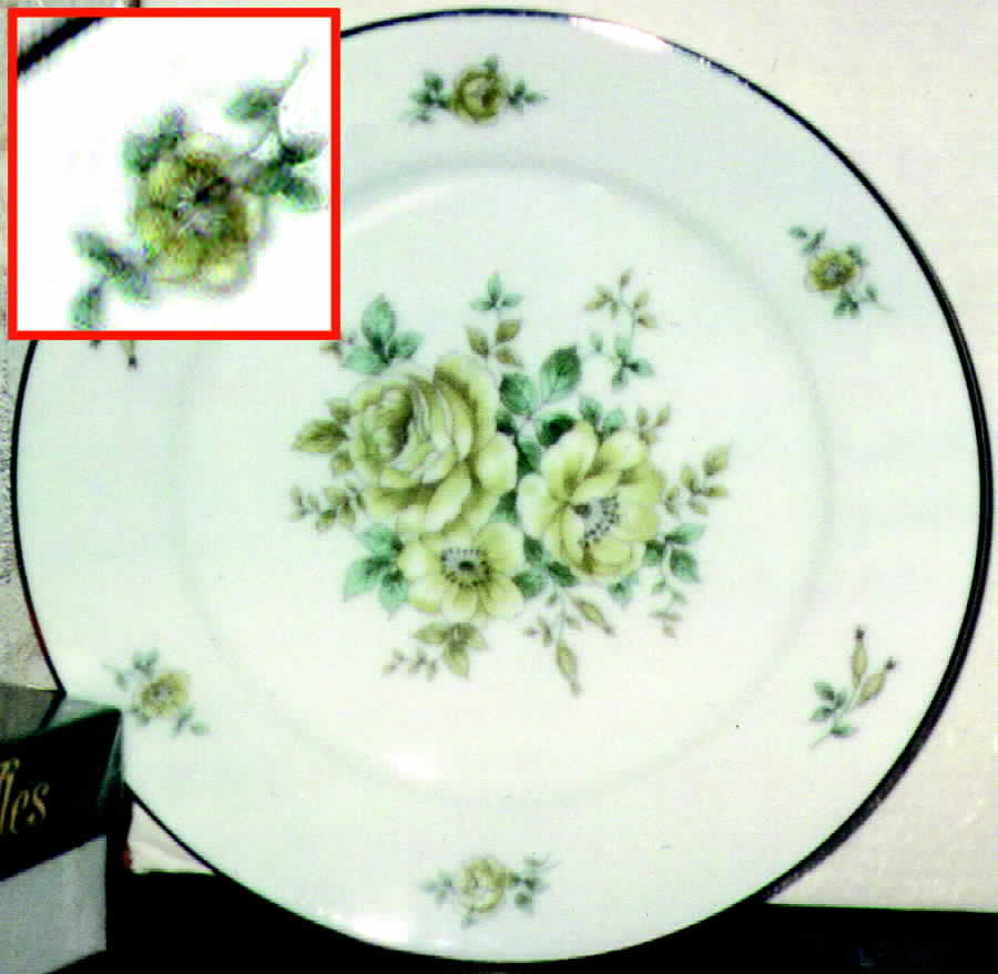 JOH204 Dinner Plate by Johann Haviland-1