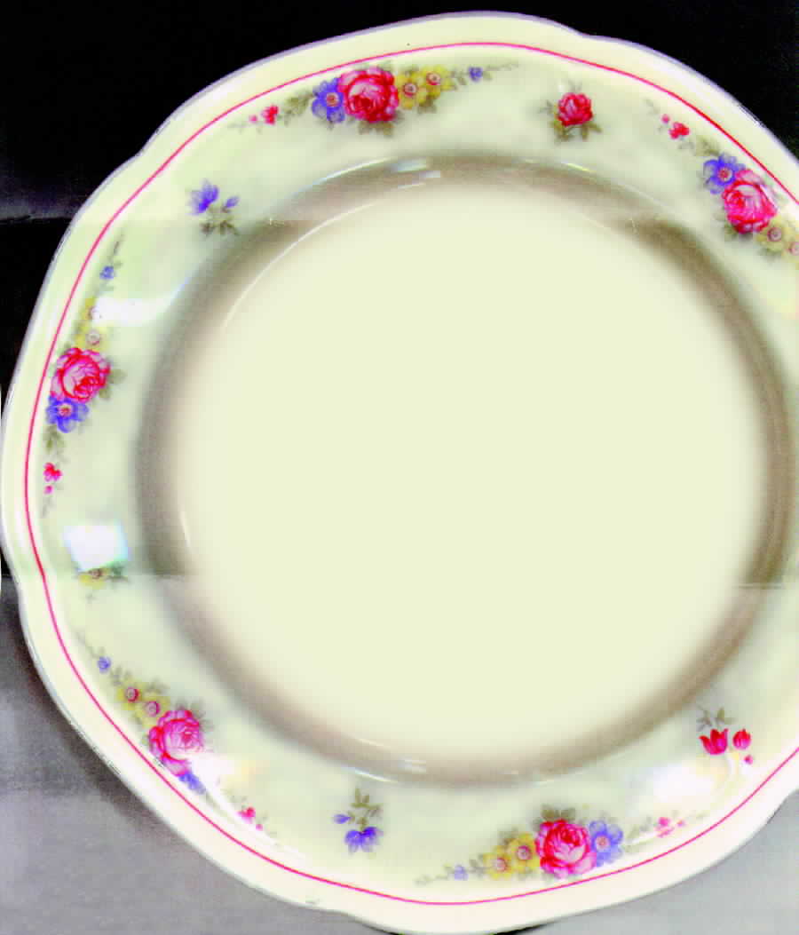 JOH216 Dinner Plate by Johann Haviland-1