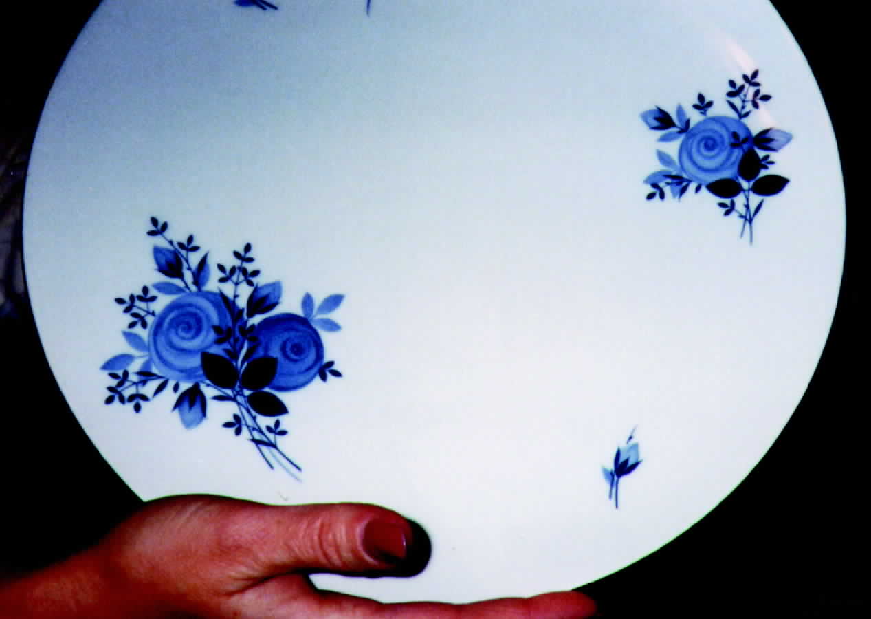 JOH51 Dinner Plate by Johann Haviland-1