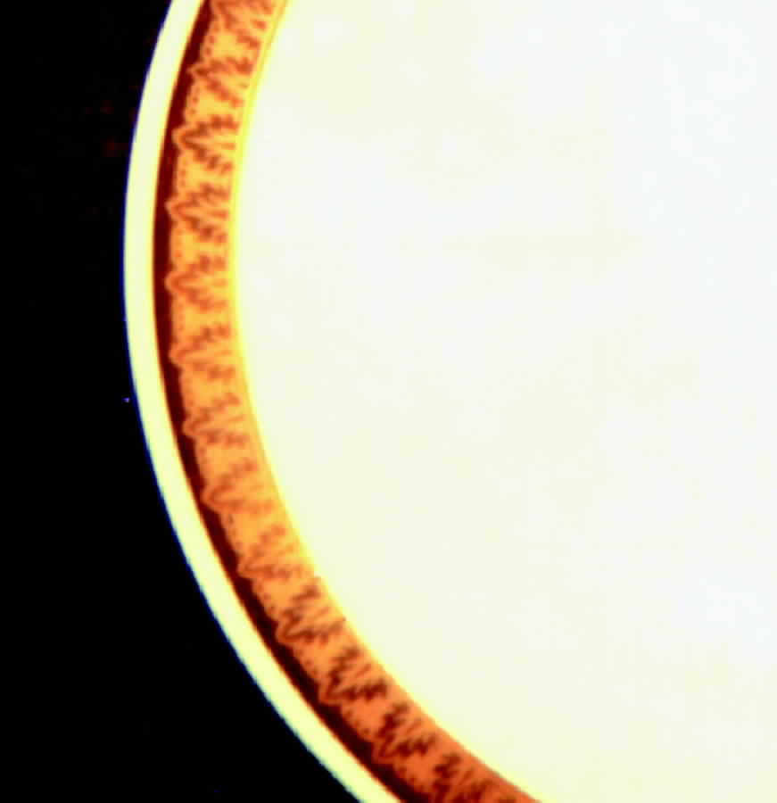 JOH56 Dinner Plate by Johann Haviland-1