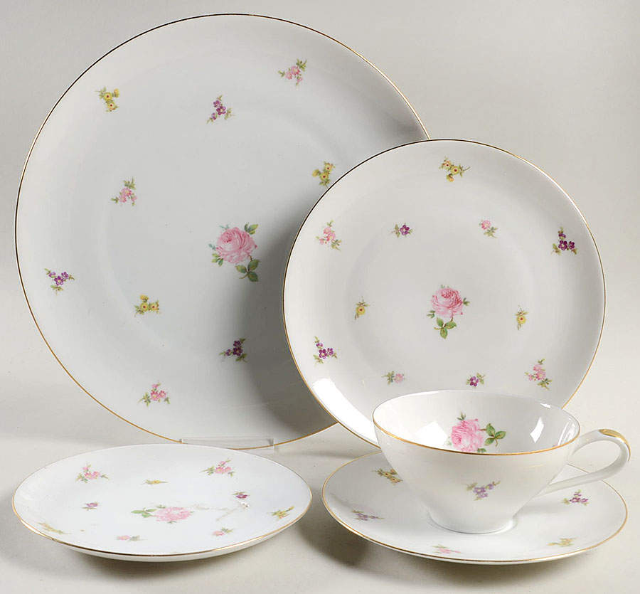 Rose Chintz 5 Piece Place Setting by Johann Haviland-1