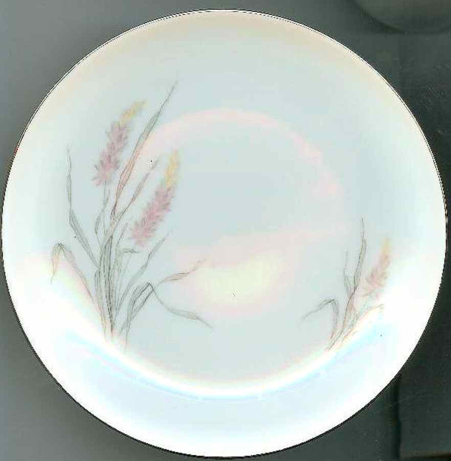 JOH62 Dinner Plate by Johann Haviland-1