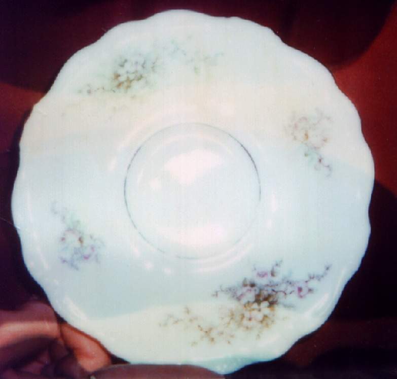 JOH77 Dinner Plate by Johann Haviland-1