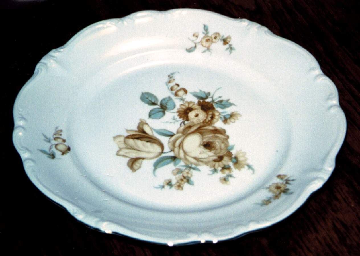 JOH86 Dinner Plate by Johann Haviland-1