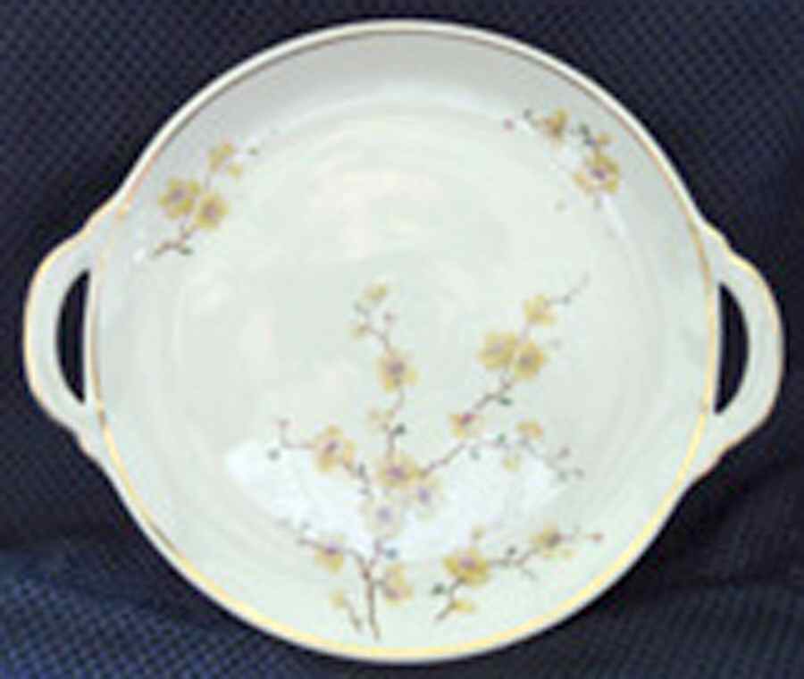 E653 Handled Cake Plate by Johann Haviland-1