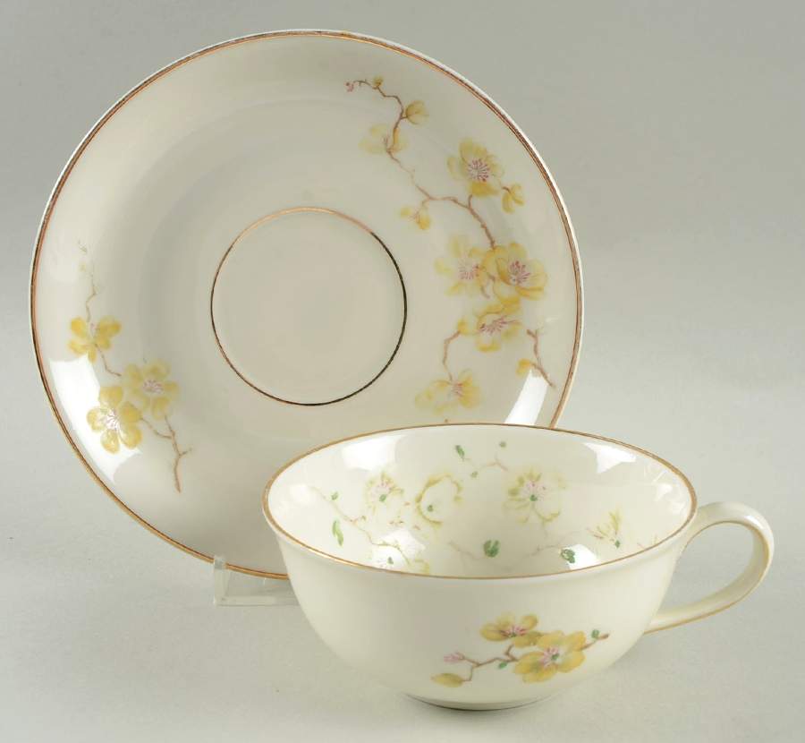 E653 Flat Cup & Saucer Set by Johann Haviland-1