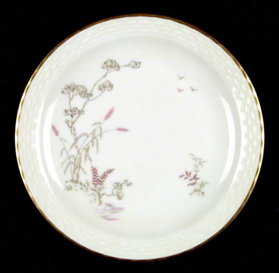 W886 Dinner Plate by Johann Haviland-1