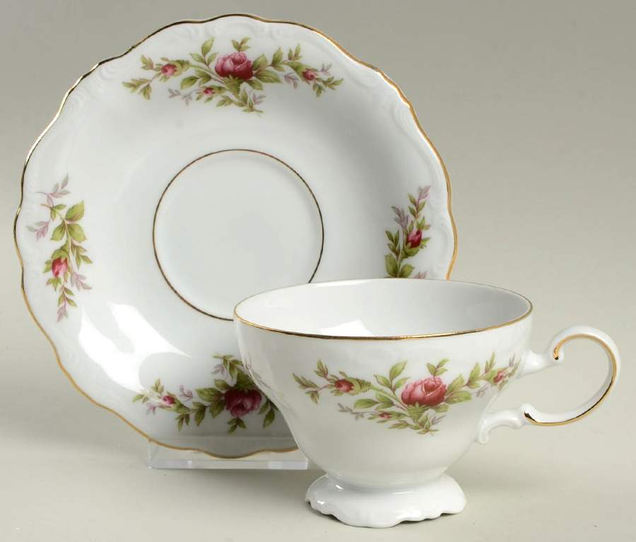 Moss Rose (Bavarian Backstamp) Footed Cup & Saucer Set by Johann Haviland-1