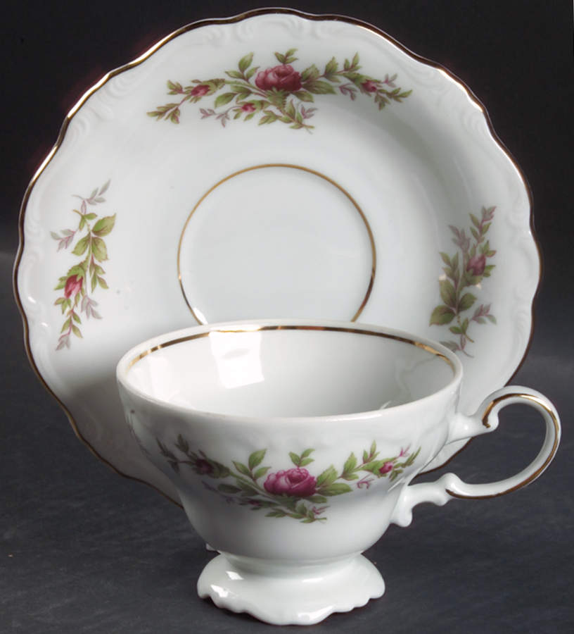Moss Rose (Bavarian Backstamp) Footed Cup & Saucer Set by Johann Haviland-1
