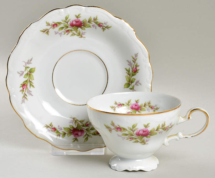 Moss Rose (Bavarian Backstamp) Footed Cup & Saucer Set by Johann Haviland-1