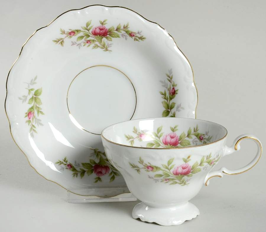 Moss Rose (Bavarian Backstamp) Footed Cup & Saucer Set by Johann Haviland-1
