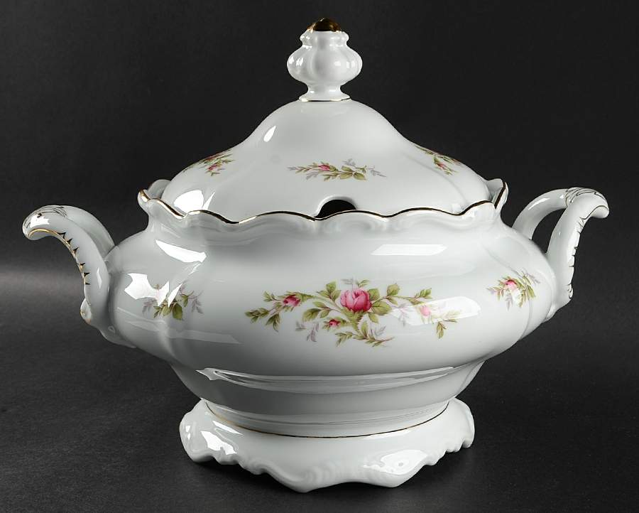Moss Rose (Bavarian Backstamp) Tureen &  Lid by Johann Haviland-1