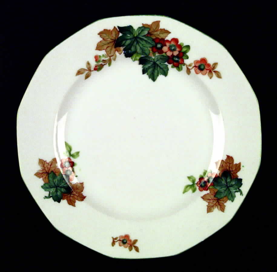 Verona Dinner Plate by Johann Haviland-1