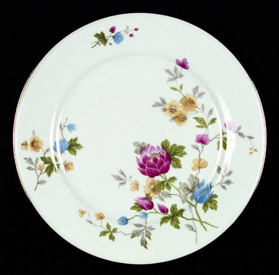 W772 Dinner Plate by Johann Haviland-1