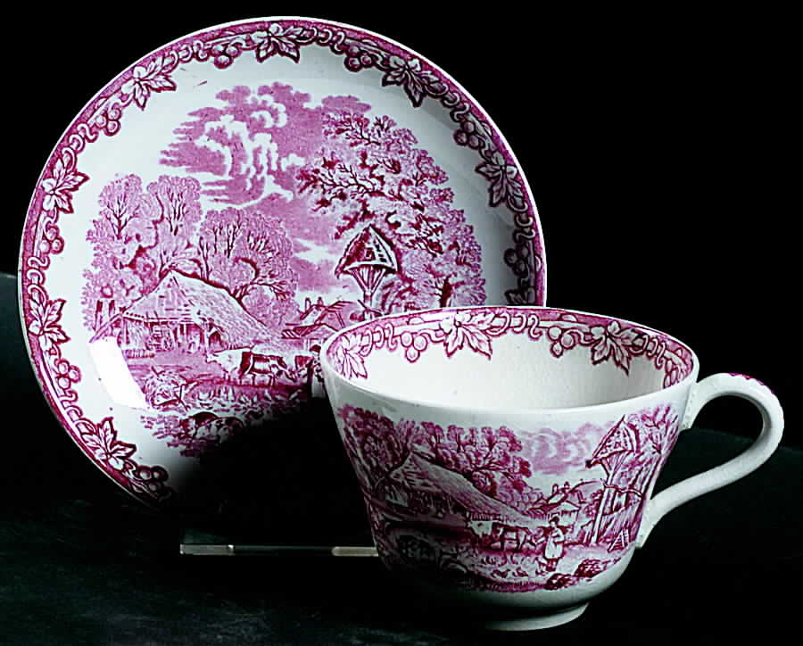 Farm Pink Flat Cup & Saucer Set by George Jones & Sons-1