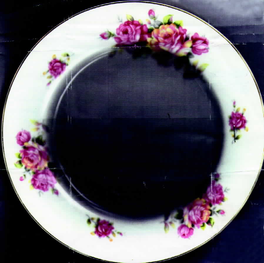 507 Salad Plate by Jyoto-1