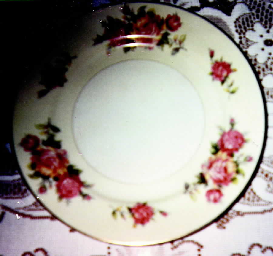 JYO17 Dinner Plate by Jyoto-1