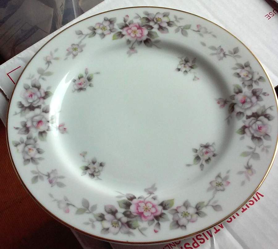 Milwaukee Dinner Plate by Jyoto-1