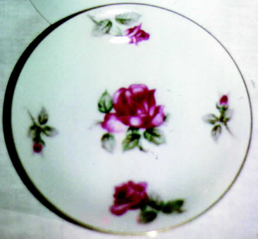 746 Dinner Plate by Jyoto-1