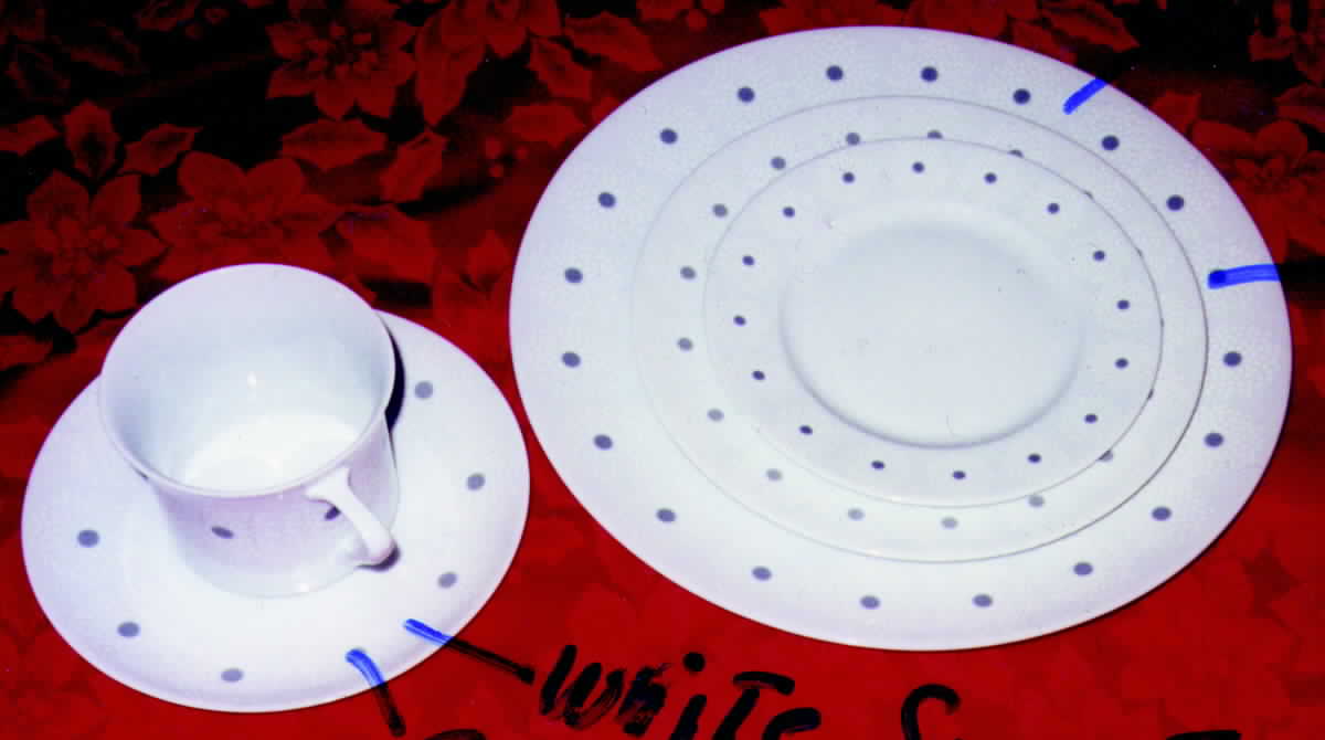 JOH219 Flat Cup & Saucer Set by Johann Haviland-1